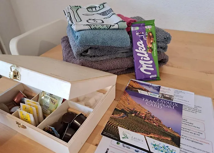 Les échalas I - Appartement avec cuisine et place privée au cœur du Lavaux, Unesco